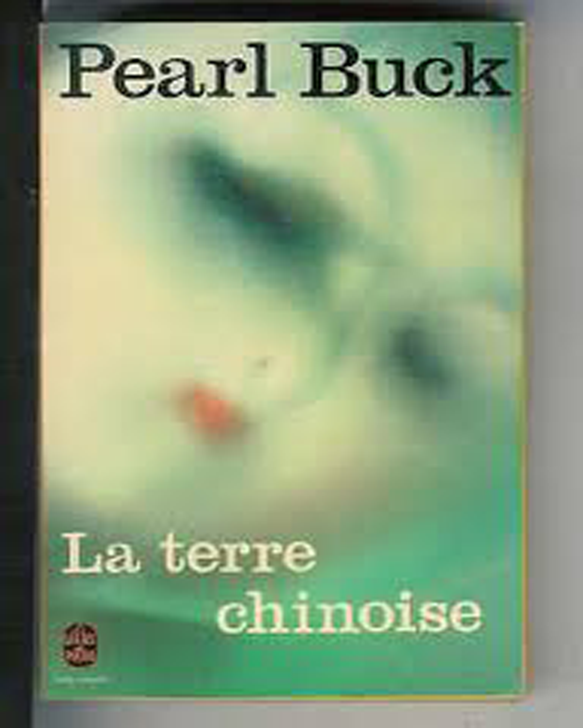 La terre chinoise